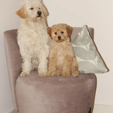 Gaestehaus Centro In 3* Konstanz