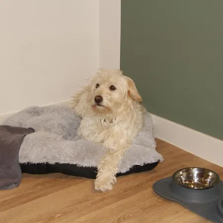 Hotel Gaestehaus Centro In 3*