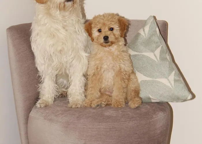 Gaestehaus Centro In 3* コンスタンツ