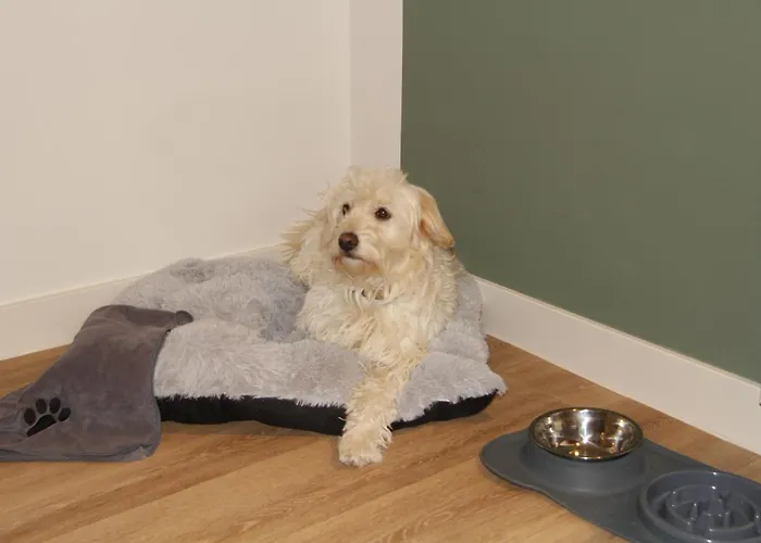 Ξενοδοχείο Gaestehaus Centro In 3*