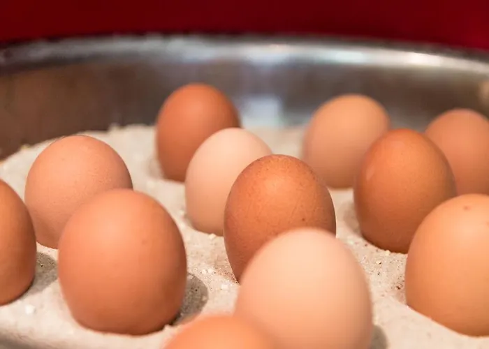 ホテル Gaestehaus Centro In コンスタンツ